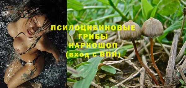 дживик Красноперекопск