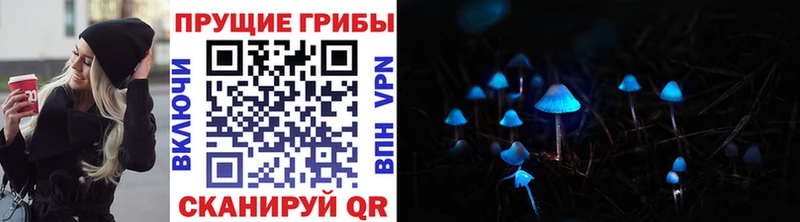 Псилоцибиновые грибы Psilocybine cubensis  продажа наркотиков  Ленск 