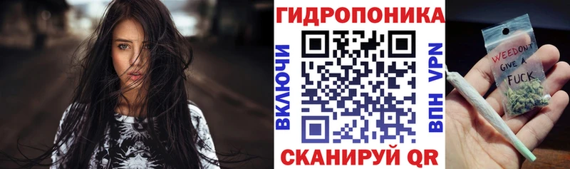 дарк нет клад  Ленск  Шишки марихуана семена  как найти закладки 